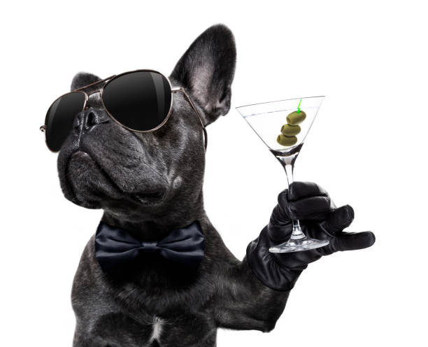 Playful Dogs Background